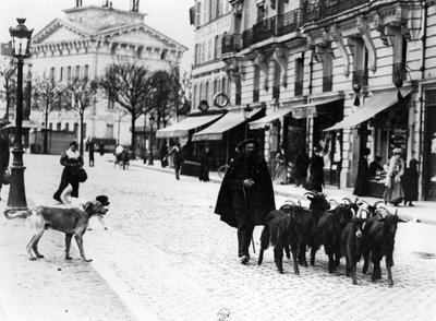 Ziegenhirte treibt seine Herde in der Cours de Vincennes, Paris von Louis Vert
